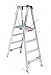 Twin Platform Stepladder, 6 ft, Alum, 300lb