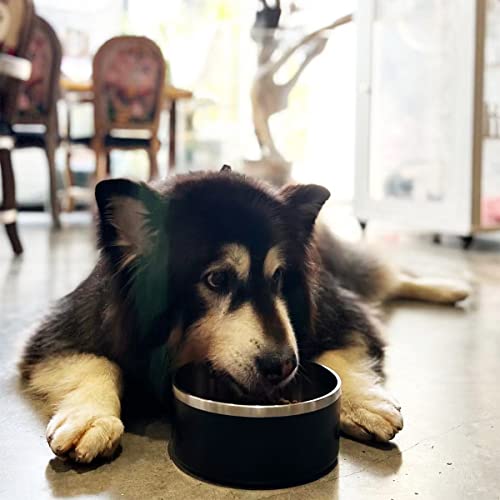 Image of Dog Bowl for Food and Water, 40 Oz Stainless Steel Pet Feeding Bowl, Durable Non-Skid Double Wall Insulated Heavy Duty with Rubber Bottom for Medium Large Sized Dogs Cats (64 Ounces /8 Cup, Black)