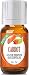 Carrot Seed Oil - 100% Pure, Best Therapeutic Grade Essential Oil - 10ml