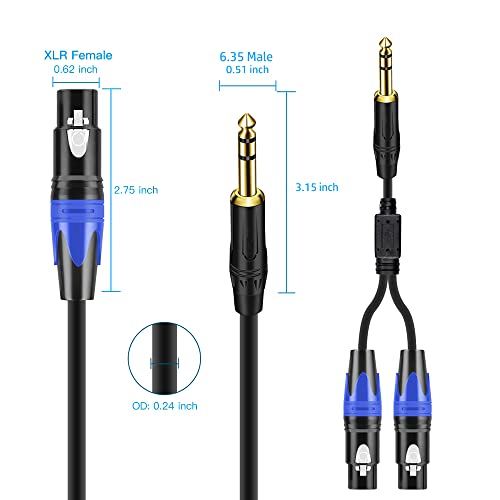 Dual Female Xlr To 1/4 Inch(6.35Mm) Trs Stereo Male Plug Y-Splitter Cable, Unbalanced 2-Xlr Female To Quarter Inch Adapter Patch Cord - 11.8 Inches #TOP1