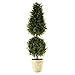 MISC Spring Boxwood Ball Cone Topiary 34