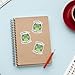 (3 Pcs) Upsetti Spaghetti Sticker – Crying Cute Frog Meme Vinyl Decal Funny Emotional Quote Waterproof for Laptop, Water Bottle, Journal, Tumbler – Gift for Teens and Frog Lovers – 3 Inch