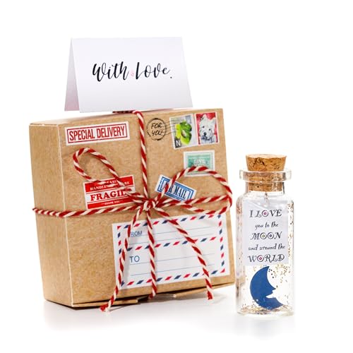 Kseniya Revta Tarro decorativo romántico pequeño – I Love You to The Moon and Back – Hermoso regalo de aniversario para novio, novia, marido, esposa (con bonita caja de papel de artesanía)