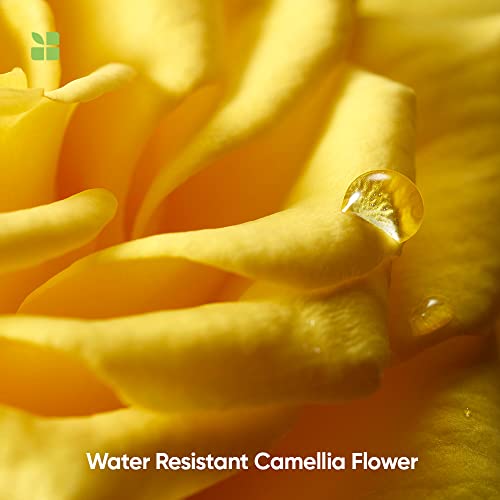 Biolage Smoothproof 6-in-1 Professional Hair Serum for Frizzy Hair |Deep Smoothening With Avocado & Grape Seed Oil | Natural & Vegan - Image 7