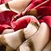 LGYKUMEG Korean Mink Blanket Fleece Blanket for Winter,9 Lbs -2 Ply Heavy & Warm Korean Style Bed Blanket 79