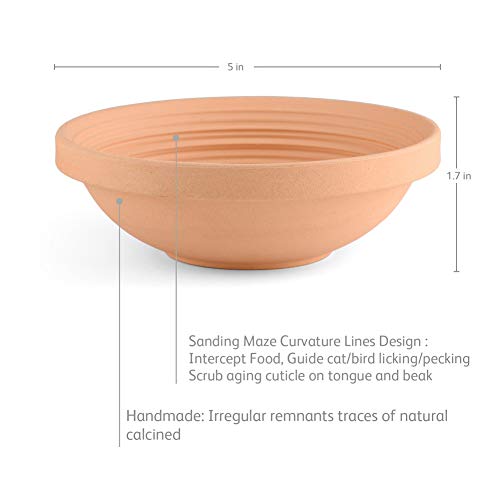 Ceramic Cat Food Bowls - Unique Circular Maze Lines Help Cats Scrub Tongue and Birds Polish Beak, Pottery Pet Feed/Feeder/Feeding Dish/Plate for Persian/Ragdoll/Parrot/Cockatiel/Parakeet (Set of 1)