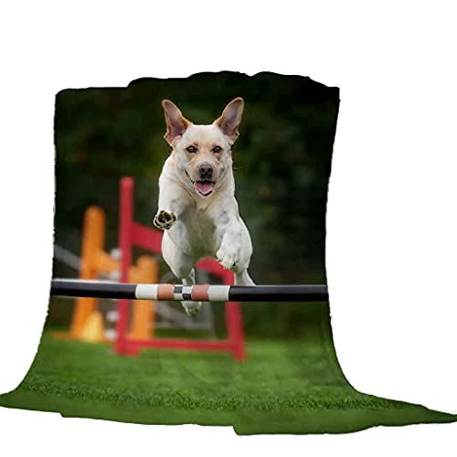 Couverture flanelle microfibre chaude et douce touché peluche - 5