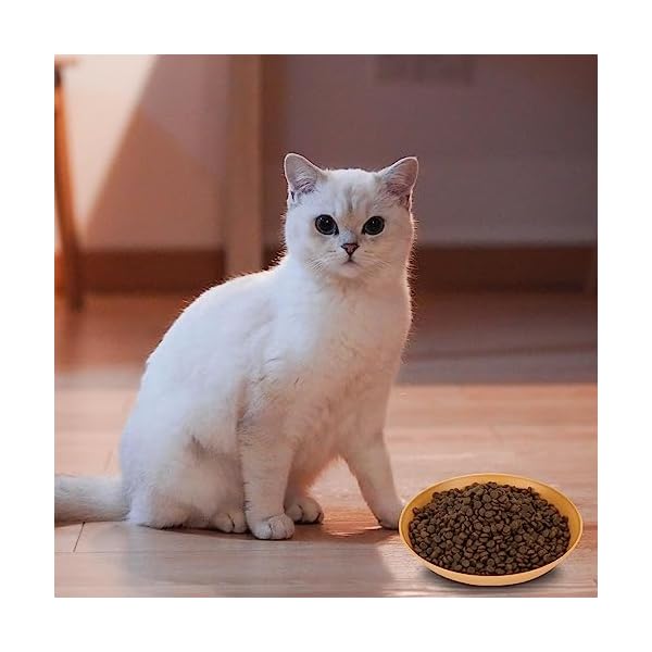 6 Stück Katzenfutternapf, flach, Katzennassfutter, Flache Katzennäpfe, Schnurrhaar, ermüdungsfrei, Katzenfutternäpfe für Futter und Wasser, breiter Katzenteller für Kätzchen und kurzbeinige Katzen – Bild 8