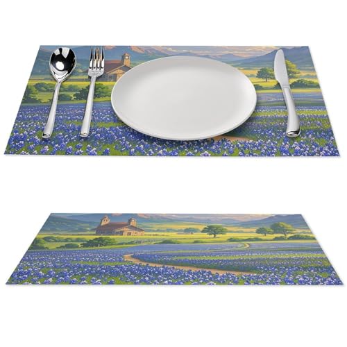 Sets de table imprimés bleus du Texas en PVC haute qualité