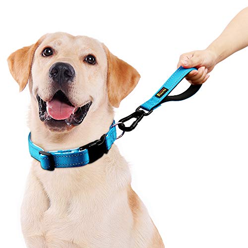 Plutus Pet 10” Short Dog Leash, Reflective Nylon Padded Handle, Strong Traffic Leash With Carabiner Clip, Perfect For Large Or Medium Dogs（10”，Blue #TOP1