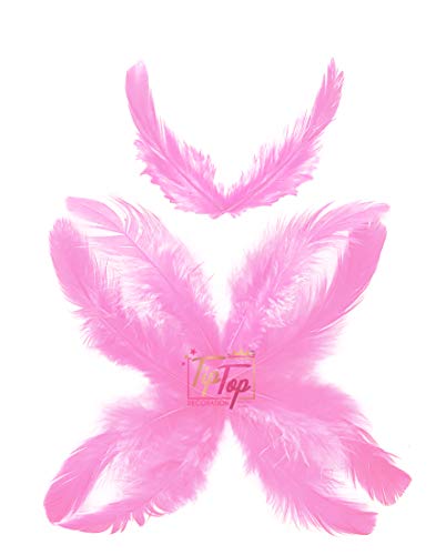 Image of Natural Dyed Feathers 10 cm (80 pieces) (Light Pink)