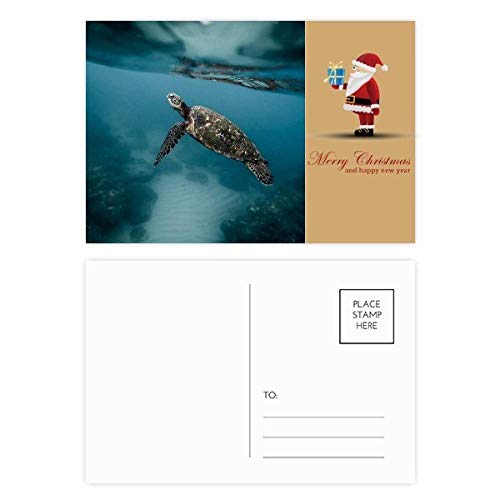 Cartes postales remerciement ocean sea turtle pour en finir avec les voeux virtuels impersonnels