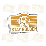 Stay Golden Retriever ステッカー レトロ 犬 引用 ビニール デカール 3枚 女性 男性 ティーン 子供 学生 ゴールデンレトリバー 愛好家 ノートパソコン スクラップブック ノート 日記 水筒 車 3インチ