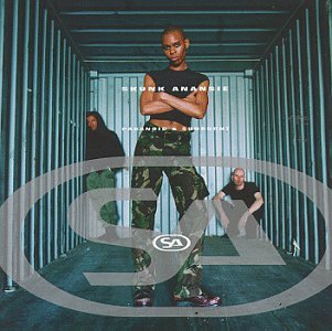 Paranoid & Sunburnt [Audio CD]