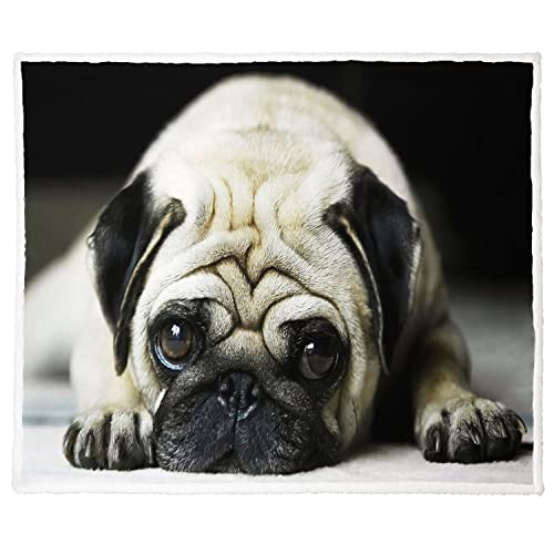 Xsmei 60 Inchx80 Inch Pug Sherpa Blanket Dog Print Throw Blanket Super Soft Fuzzy Blanket Thick Warm Fleece Blankets For Couch Bed cover