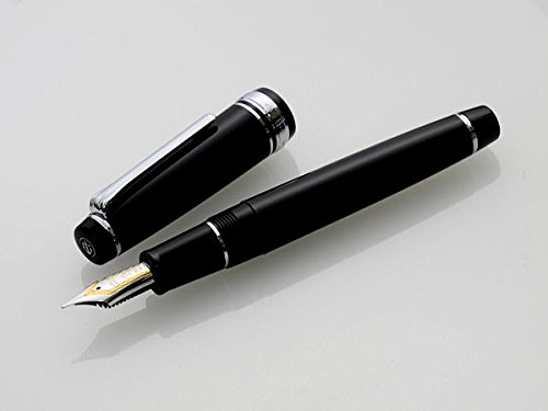 Amazon | セーラー万年筆 万年筆 プロフェッショナルギア銀 中細 11  