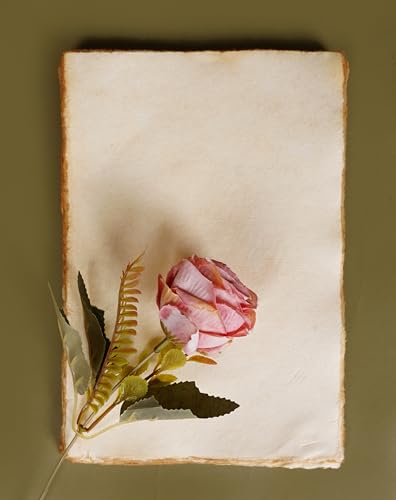 Vintage Handmade Deckle Edge Paper – 100% Cotton, Eco-Friendly & Acid-Free – Rustic Writing & Calligraphy Paper for Letters, Invitations, Journals & Artwork (6.5x9.5 Inch, Pack of 20)