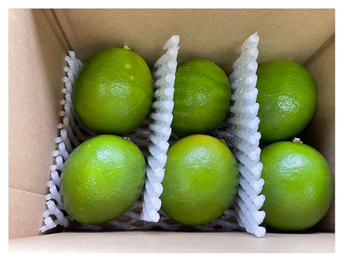 ̓_  O[ 2kg Y ʏ` Ղ _  h hэܕsgp m[bNX