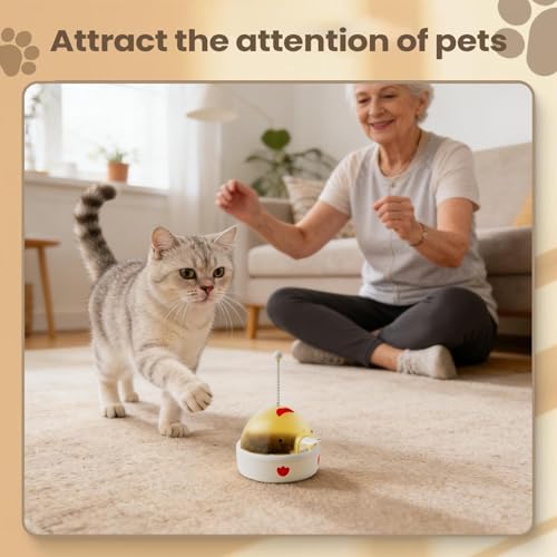 Jeux pour chaton et exercice à la maison avec distributeur intelligent