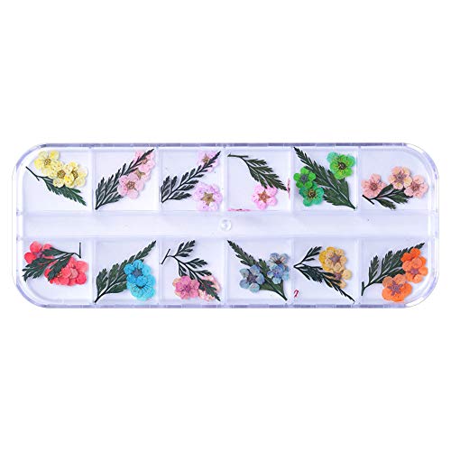 SENDILI Nail Art fleurs - 12 Couleurs Naturel Fleur Séchée Feuille Filles Femmes 3D DIY Decoration pour Ongles Ete Manucure Nail Stickers Cover