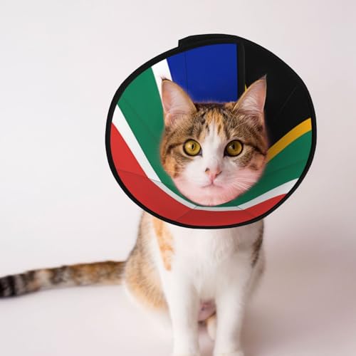 Custom Pet Cone South Africa Flag