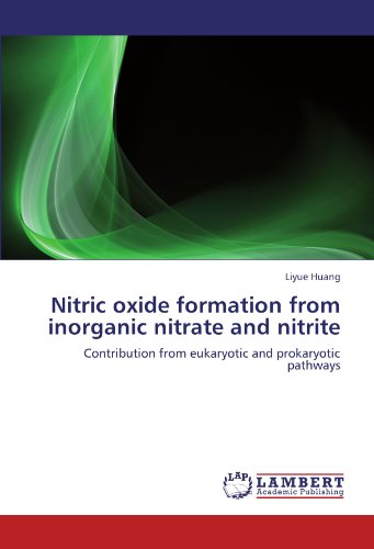 Nitric oxide formation from inorganic nitrate and nitrite