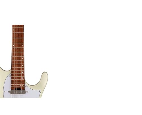 [サルナイ]Ibanez ichi10 Amazon.com: Ibanez Ichika Signature ICHI10 Electric Guitar