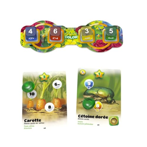 Horticolor – vue 4