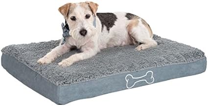 foam dog mat