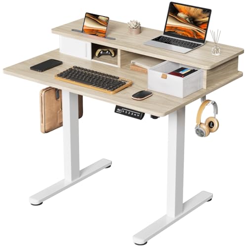 Joy Worker Small Electric Sit-Stand Desk with Storage