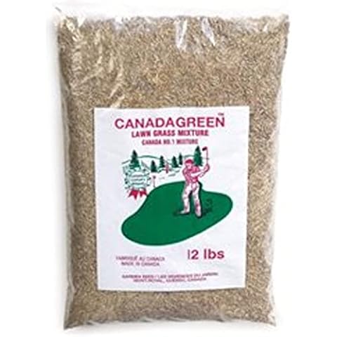 Canada Green Grass Lawn Seed - Grows Healthy Rich Green Grass Lawn Seed Plants Yard Garden 12 Pound Bag Cover