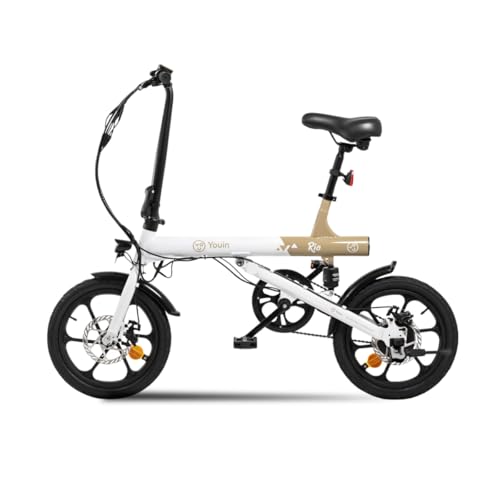 Bicicletta elettrica compatta urbana 250W ruote 16 pollici batteria integrata 36V 7.5Ah autonomia 45km sospensione posteriore freni a disco velocimetro LCD