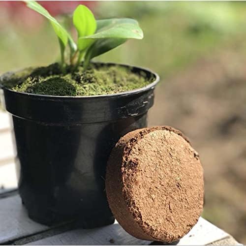 Coco Coir Pellets with Nutrients, Organic Coconut Fibre Growing Media Potting Soil Seed Pellets, Compressed Coco Fibre Substrate, Coco Soil Peat Seedling Compost Starting Tablet (24pcs, 40mm)