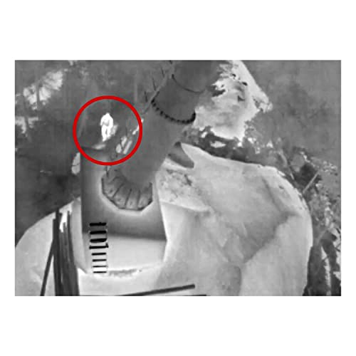 5: The Sea to Sky Gondola