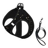 Gold Stars Black Background No Pull Dog Harness and Leash Set, Cute Reflective Adjustable Vest for Small Dogs,Breathable Mesh Puppy Harness for Walking Hiking,Small