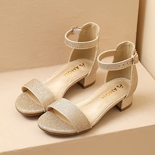 Image of Amoji Girls High Heels Kid Ankle Strap Dress Shoes Wedding Party for Little Kid Big Kid 412
