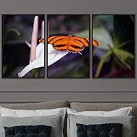 3 Piece Framed Canvas Wall Art Colorful Butterfly Insects Canvas Prints Home Artwork Decoration for Living Room,Bedroom - 16
