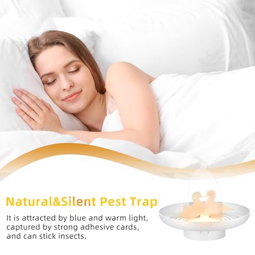 2 PCs Bettwanzen Falle mit 10 Klebescheiben,Zwei Stromversorgung Methoden Flohfalle für Wohnung Testsieger,Geruchlos Ungiftig, Flohfallen für Wohnzimmer,Küche,Schlafzimmer