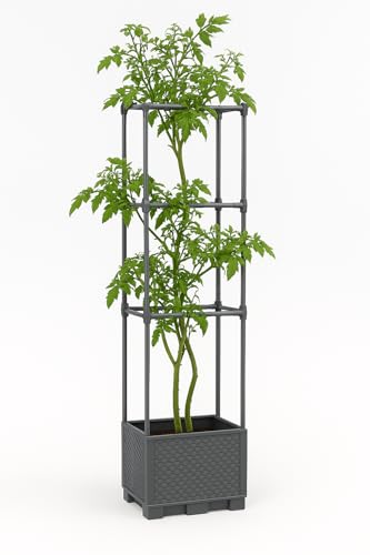 Support de pot de fleurs intérieur/extérieur pour sublimer vos terrasses et salons - 3
