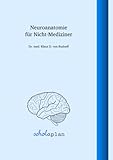 Neuroanatomie für Nicht-Mediziner