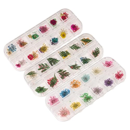 Kit de accesorios con flores secas para manualidades miniatura 1