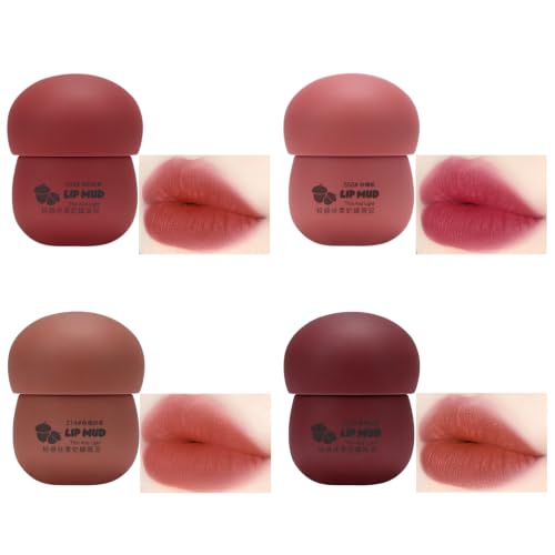 Rayberro 4 Pack Matte Lipstick SetI,Lip Mud Lip Gloss,Lipsticks Lip Makeup