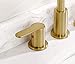 TimeArrow Brushed Gold 2 Handle 8 Inch Widespread Bathroom Sink Faucet with Pop-Up Drain, High Arc Modern Bathroom Vanity Lavatory Faucet 3 Holes with Brass 360° Swivel Spout, TAF830E-PB