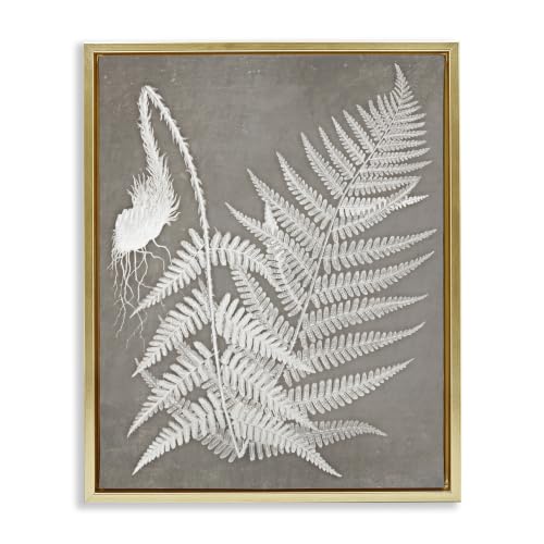 Layered Fern Botanicals Nature, 17 x 21 Inch Canvas in Floater Frame