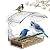 Window Bird Feeder with 4 Strong Suction Cups, Clear Window Feeder for Outside, Acrylic Bird House for Window, Large Outdoor Wild Bird Watching Gift