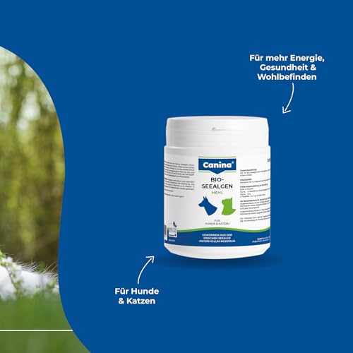 Bio-Seealgenmehl 250g