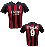 mandzukic trikot kroatien Trikot, zugelassene Replik. Mailand 100 % Polyester