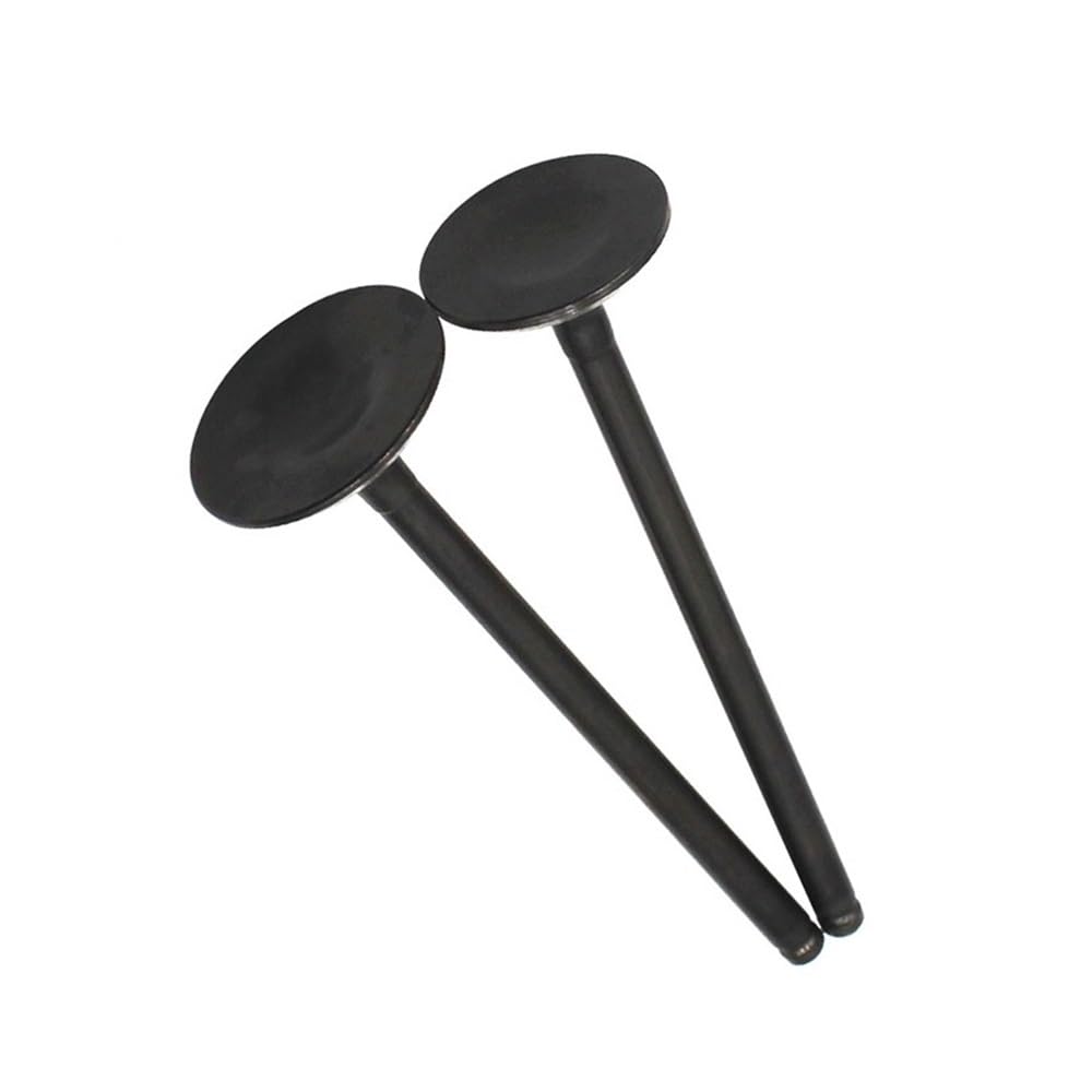 Kit de válvulas y retenes de Aceite for Motor de Motocicleta, Compatible con DR250 AN250 (1990-1995, 1998-2007)(1 Pair)