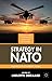 Strategy in NATO: Preparing for an Imperfect World (Governance, Security and Development)
