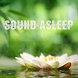 Sleepy Sound Records